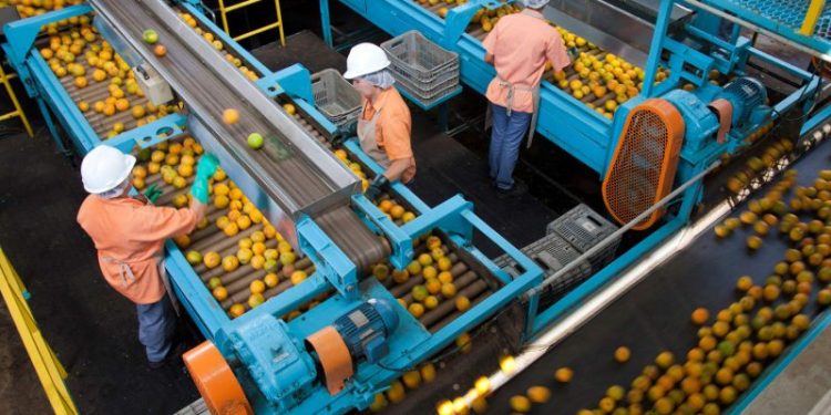 Orange juice importer says Brazil tariffs will squeeze American consumers